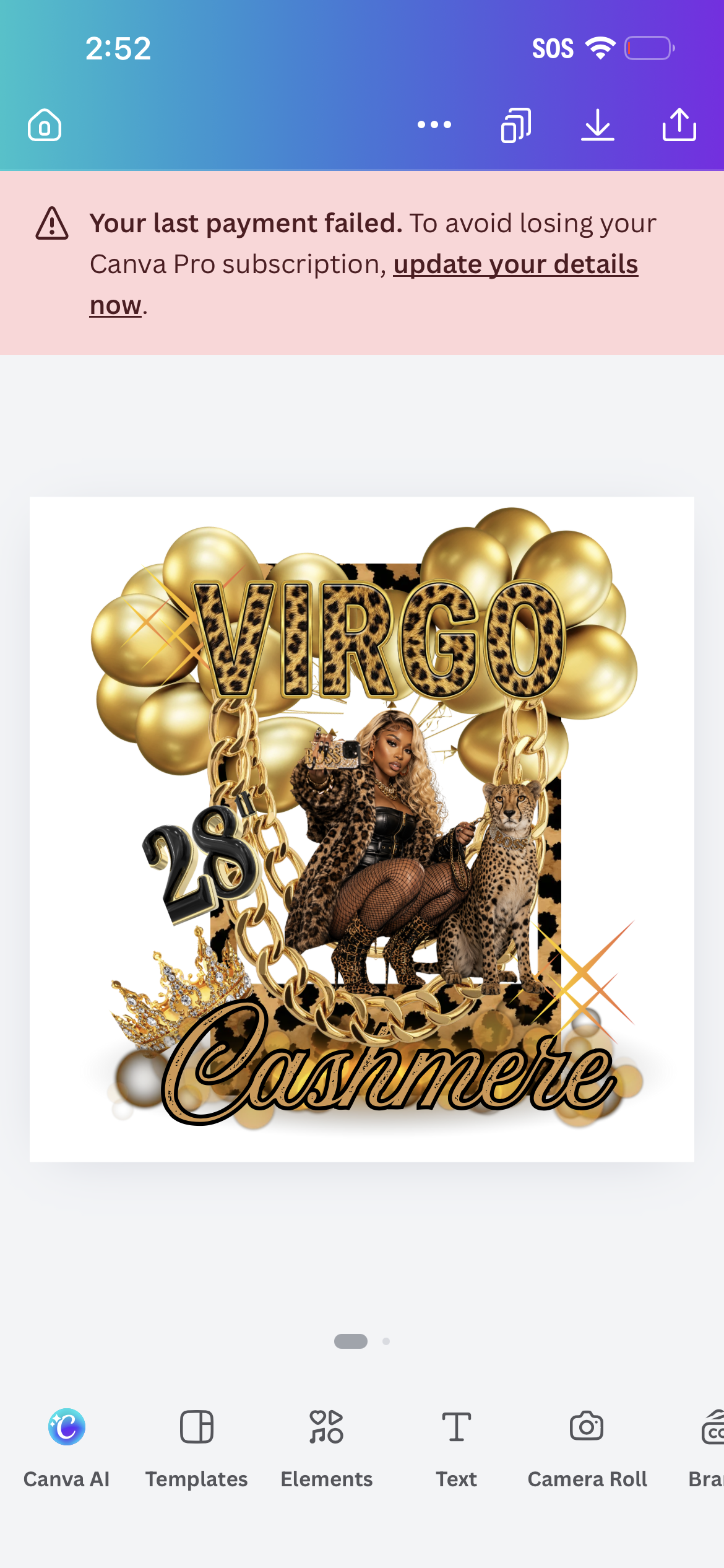 Virgo Birthday Bundle