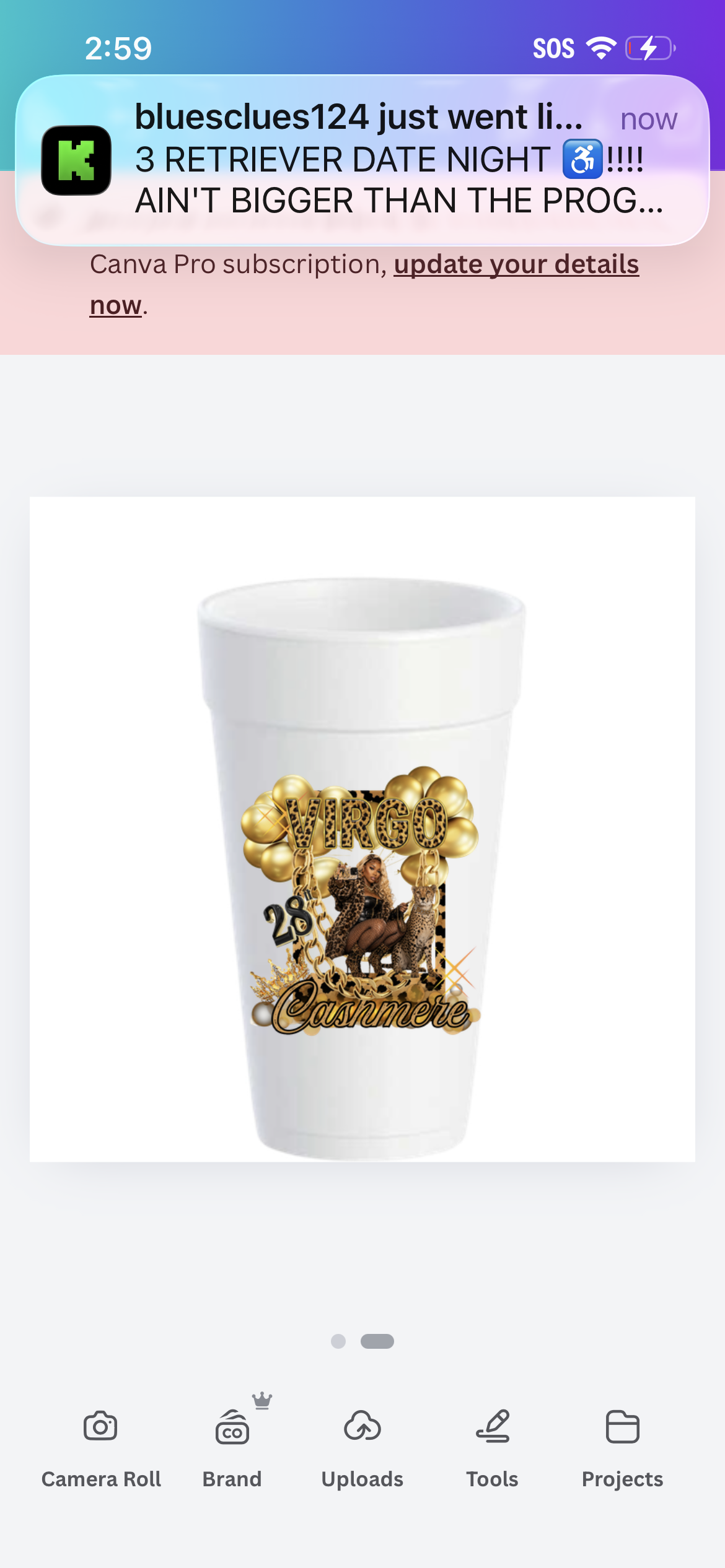 Virgo Birthday Bundle
